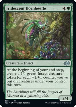 Iridescent Hornbeetle, Jumpstart 2022 678