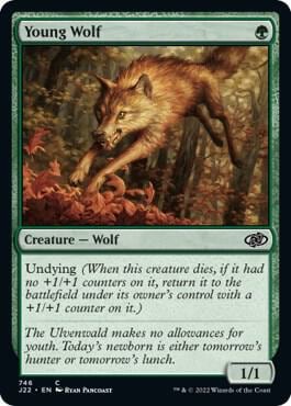 Young Wolf, Jumpstart 2022 746