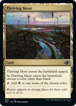 Thriving Moor, Jumpstart 2022 826