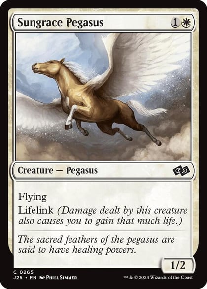 Sungrace Pegasus, Foundations Jumpstart 265