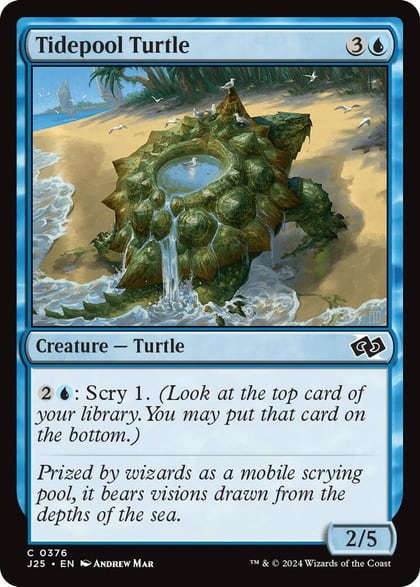 Tidepool Turtle, Foundations Jumpstart 376