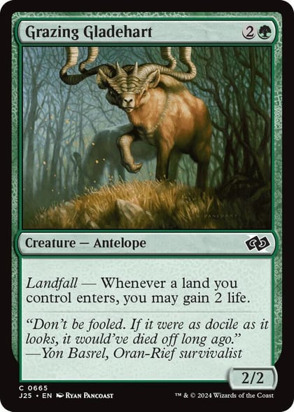 Grazing Gladehart, Foundations Jumpstart 665