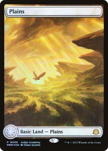 Plains - Full Art (0006), Judge Promos 6