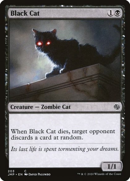 Black Cat, Jumpstart 203