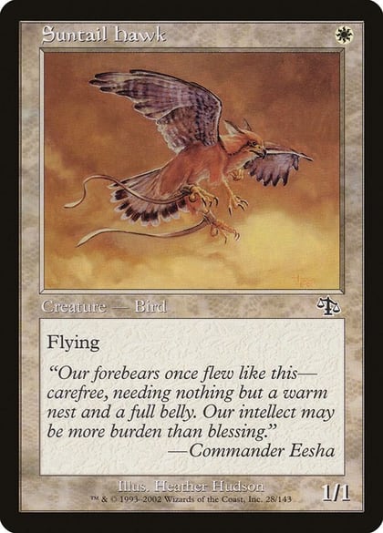 Suntail Hawk, Judgment 28