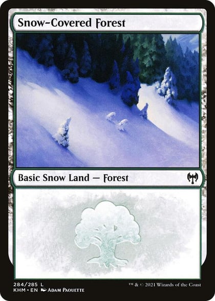 Snow-Covered Forest (284), Kaldheim 284