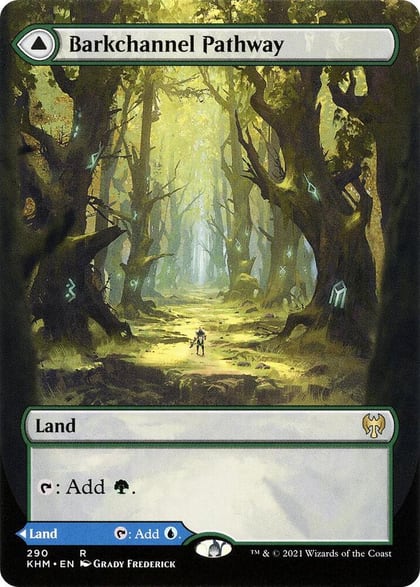 Barkchannel Pathway (Borderless), Kaldheim 290
