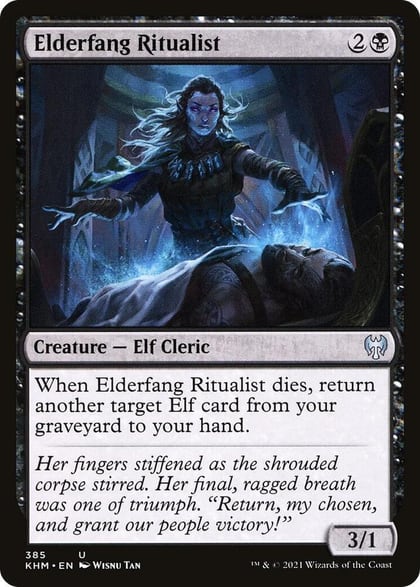 Elderfang Ritualist, Kaldheim 385