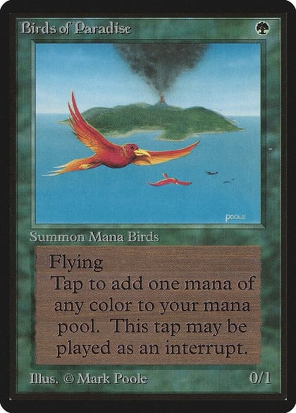 Birds of Paradise, Beta Edition #8685