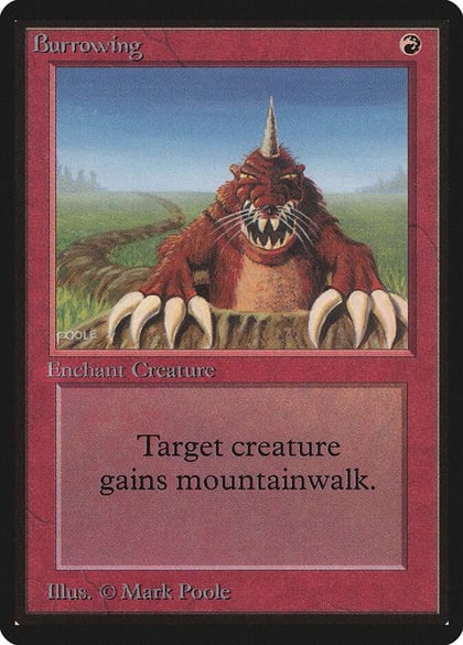 Burrowing, Beta Edition #8696