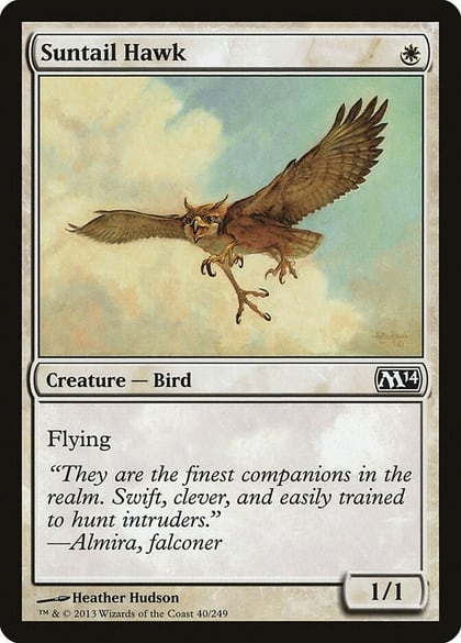 Suntail Hawk, Magic 2014 (M14) 40