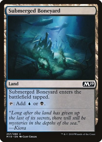 Submerged Boneyard, Core Set 2019 257