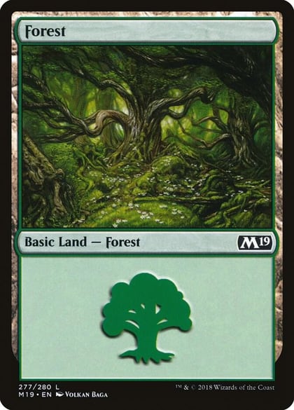 Forest (277), Core Set 2019 277