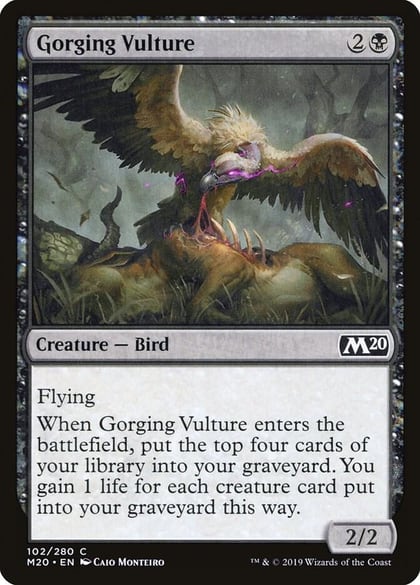 Gorging Vulture, Core Set 2020 102