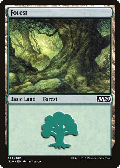Forest (279), Core Set 2020 279