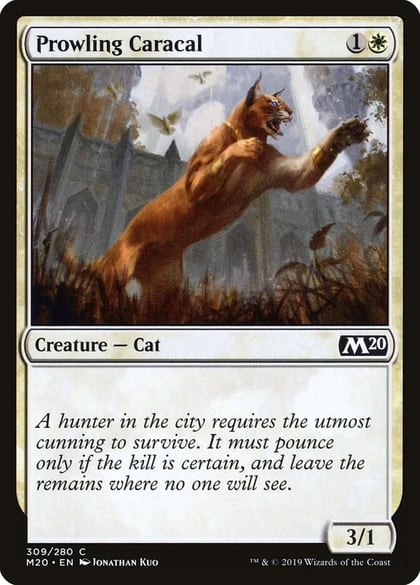 Prowling Caracal, Core Set 2020 309
