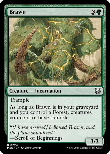 Brawn, Commander: Modern Horizons 3 224
