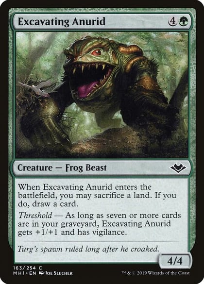 Excavating Anurid, Modern Horizons 163