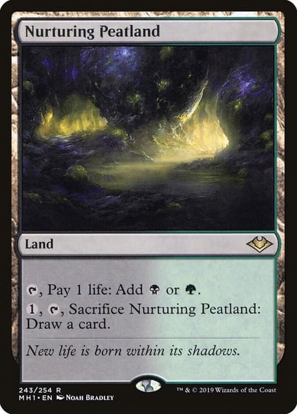 Nurturing Peatland, Modern Horizons 243