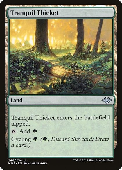 Tranquil Thicket, Modern Horizons 248