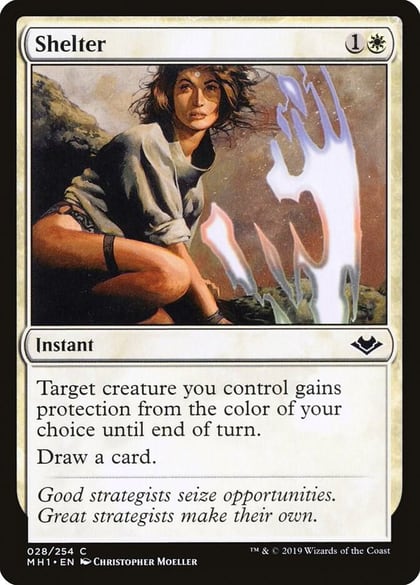 Shelter, Modern Horizons 28