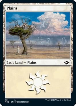 Plains (481) (Foil Etched), Modern Horizons 2 481