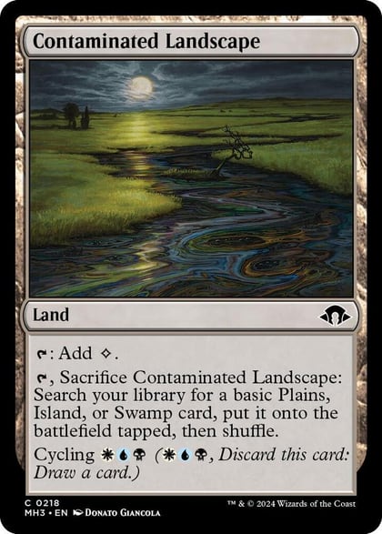 Contaminated Landscape, Modern Horizons 3 218