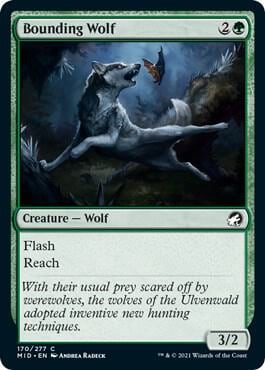 Bounding Wolf, Innistrad: Midnight Hunt 170