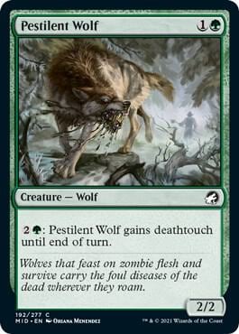 Pestilent Wolf, Innistrad: Midnight Hunt 192
