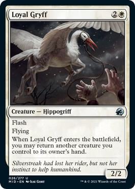 Loyal Gryff, Innistrad: Midnight Hunt 26
