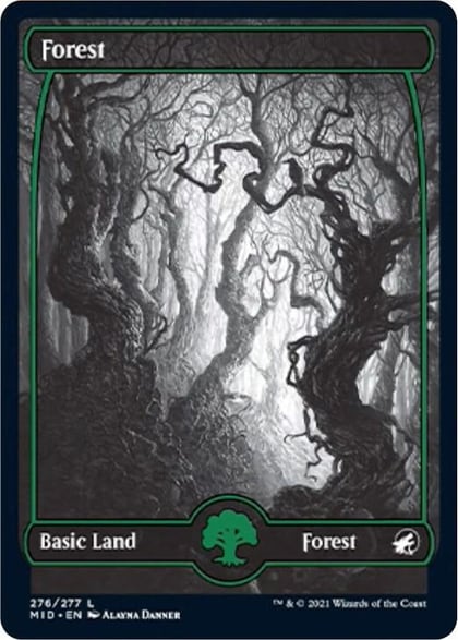 Forest (276), Innistrad: Midnight Hunt 276