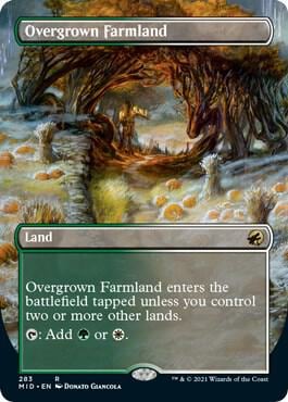 Overgrown Farmland (Borderless), Innistrad: Midnight Hunt 283
