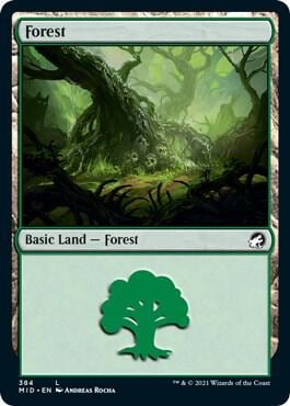 Forest (384), Innistrad: Midnight Hunt 384