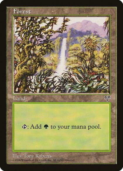 Forest (Waterfall), Mirage #18532