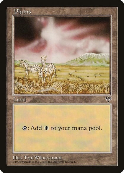 Plains (Zebra), Mirage #18542