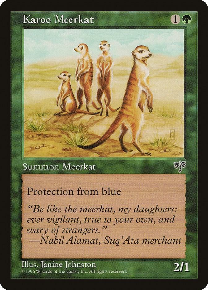 Karoo Meerkat, Mirage #5123