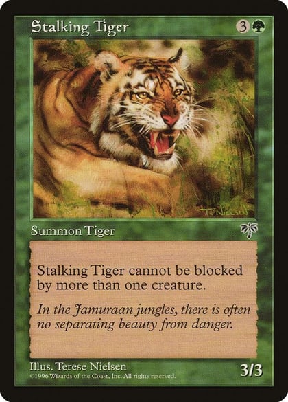 Stalking Tiger, Mirage #5243