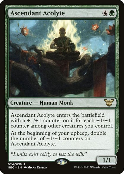 Ascendant Acolyte, Commander: Kamigawa: Neon Dynasty 24