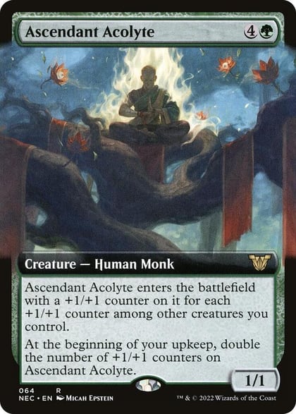 Ascendant Acolyte (Extended Art), Commander: Kamigawa: Neon Dynasty 64