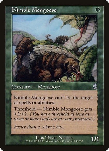 Nimble Mongoose, Odyssey 258