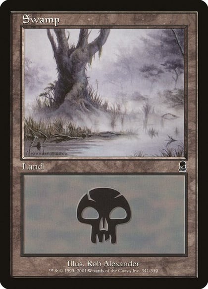 Swamp (341), Odyssey 341