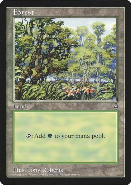 Forest (Arena League), Oversize Cards #21498