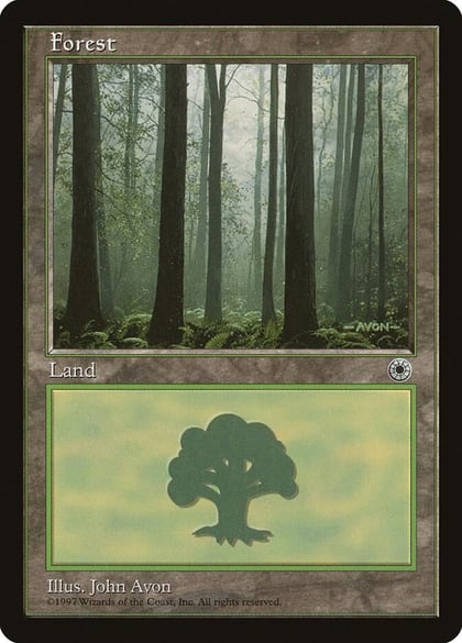 Forest (Ferns on Ground), Portal #21585