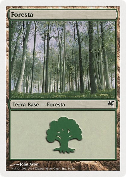 Forest (Italian) - "Foresta" (B34), Magic Encyclopedia 2005 (Salvat/Hachette) B34