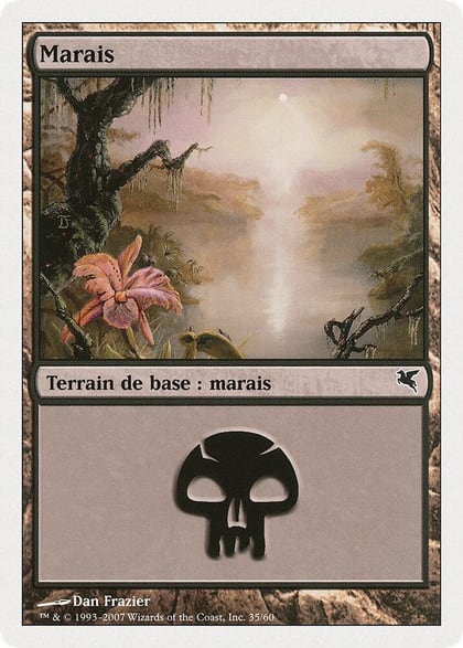 Swamp (French) - "Marais" (D35), Magic Encyclopedia 2005 (Salvat/Hachette) D35