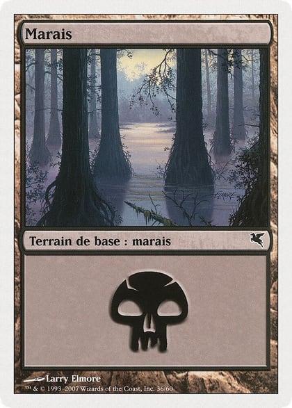 Swamp (French) - "Marais" (D36), Magic Encyclopedia 2005 (Salvat/Hachette) D36
