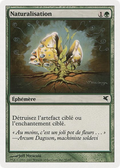 Naturalize (French) - "Naturalisation", Magic Encyclopedia 2005 (Salvat/Hachette) D55