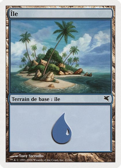 Island (French) - "Ile" (H21), Magic Encyclopedia 2005 (Salvat/Hachette) H21