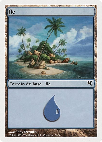 Island (French) - "Ile" (H36), Magic Encyclopedia 2005 (Salvat/Hachette) H36