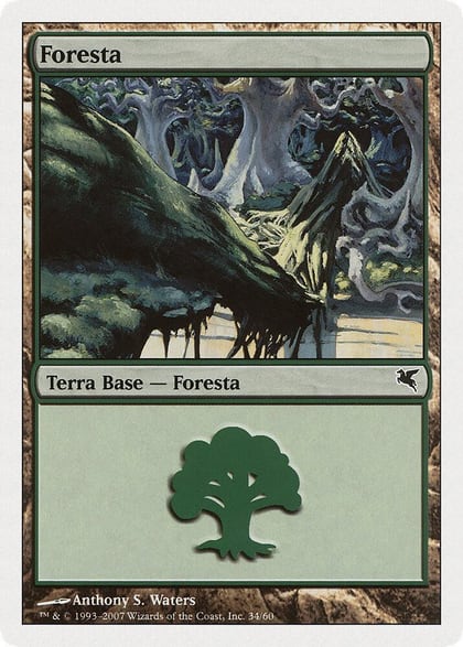 Forest (Italian) - "Foresta" (K34), Magic Encyclopedia 2005 (Salvat/Hachette) K34